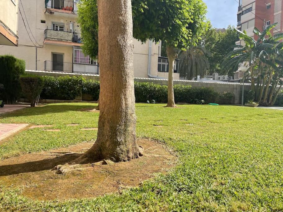 Inmejorable Ubicacion,70m Playa 70m Pueblo Appartement