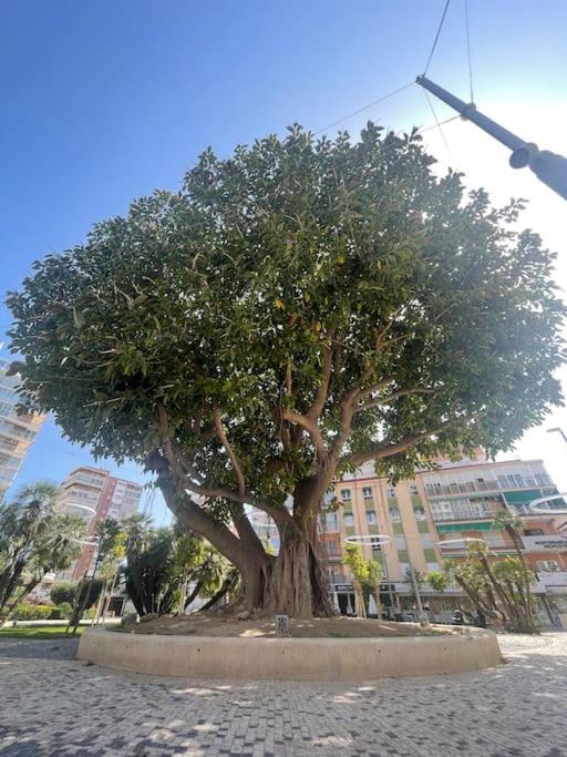Inmejorable Ubicacion,70m Playa 70m Pueblo Appartement Benidorm